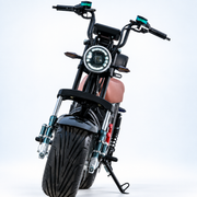 Harley